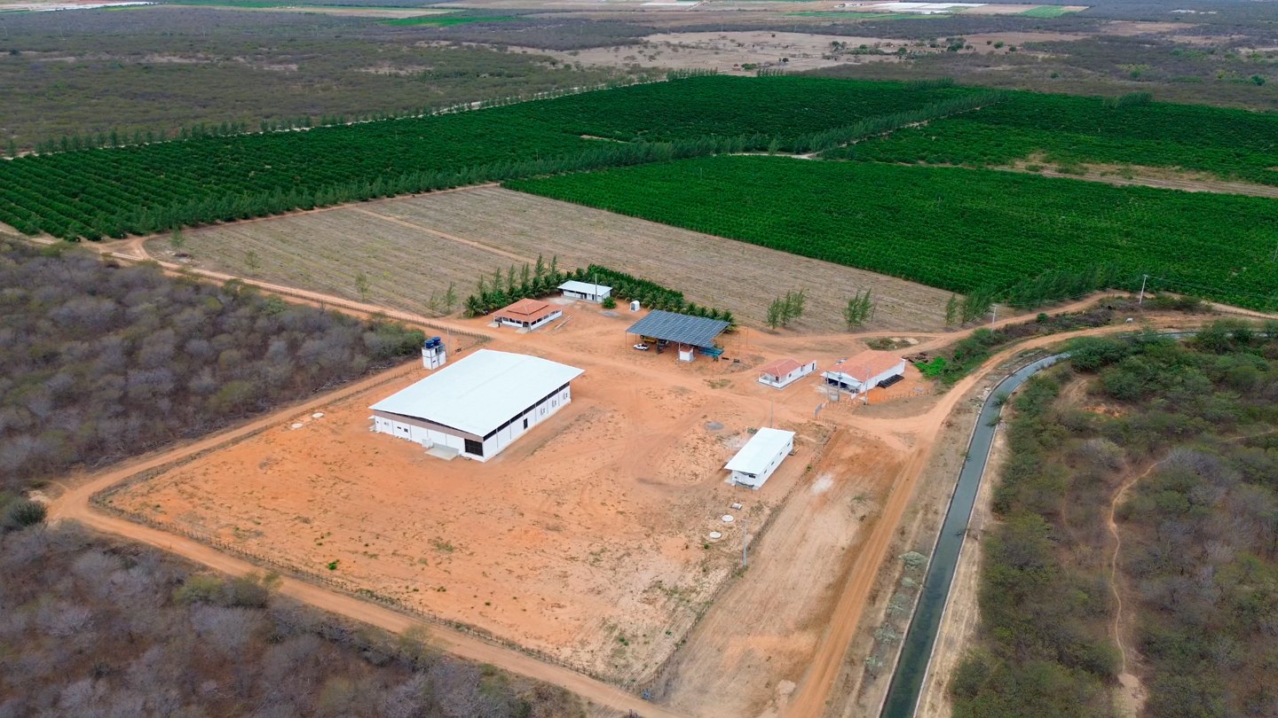 Vista aérea das instalações e talhões — setembro de 2026.