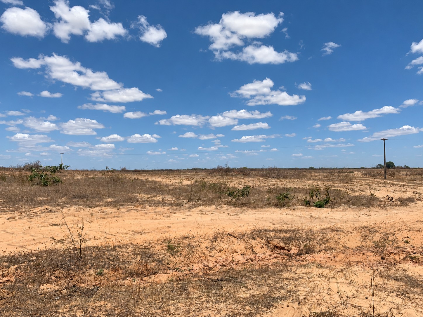 Área da fazenda em setembro de 2020.