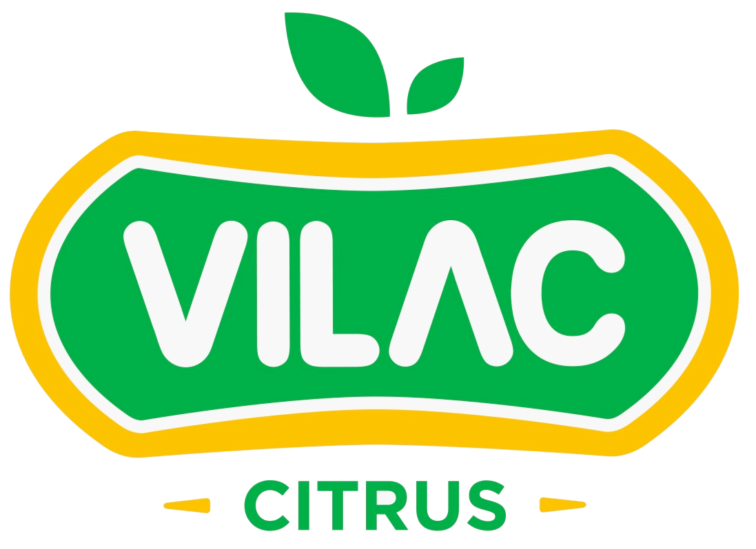 Vilac Citrus